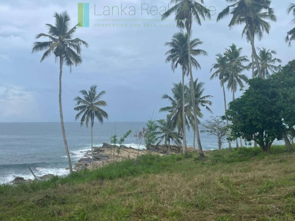 One and a half acres of Tangalle beachfront