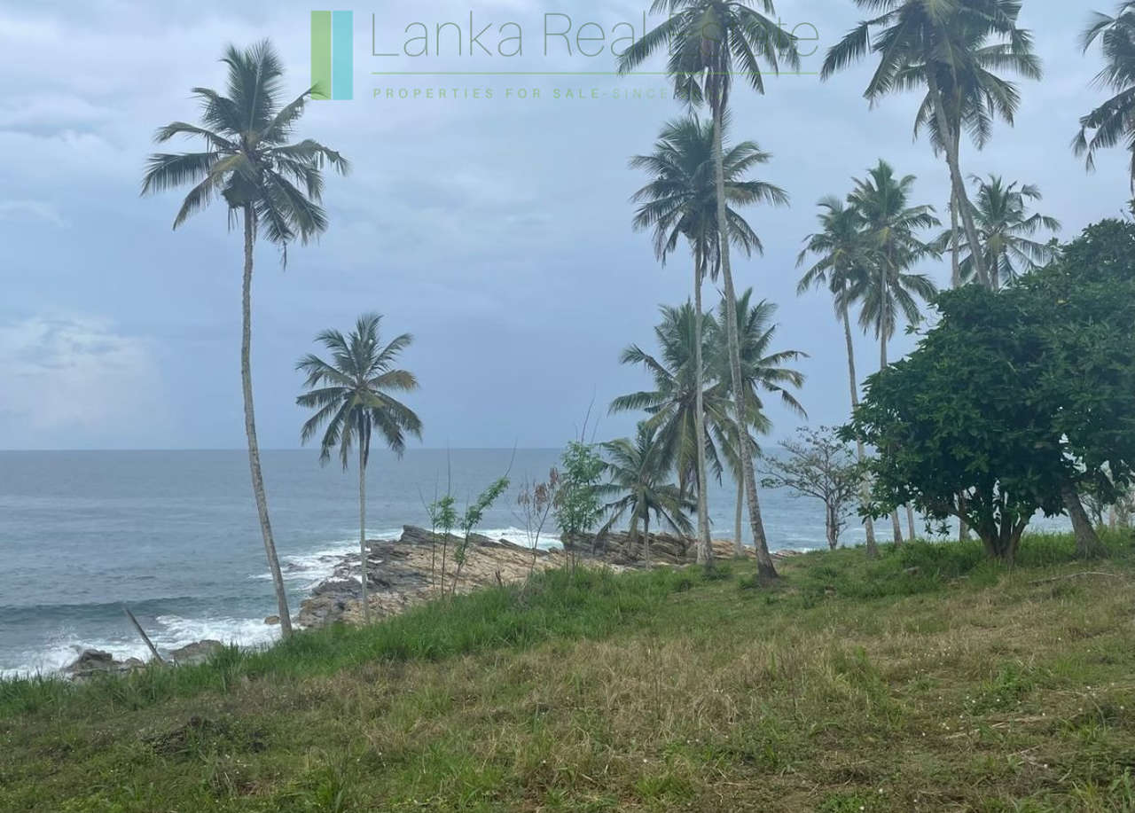 One and a half acres of Tangalle beachfront