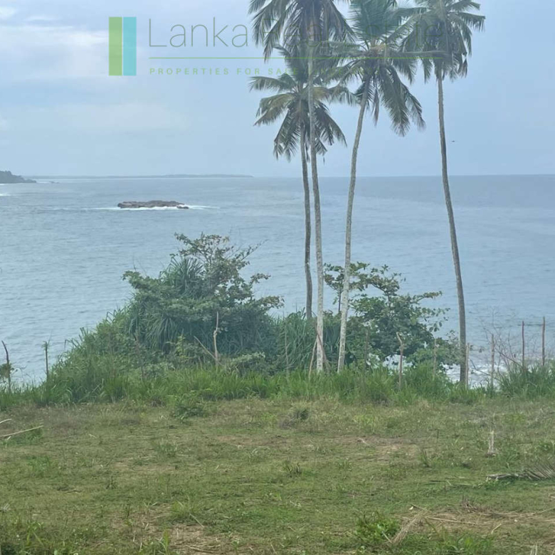 One and a half acres of Tangalle beachfront