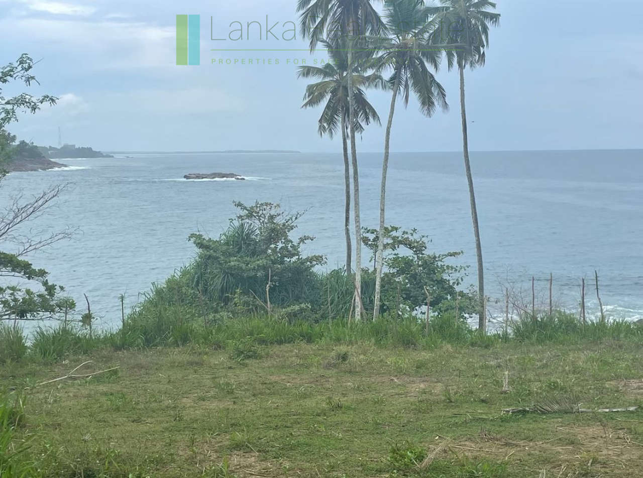 One and a half acres of Tangalle beachfront