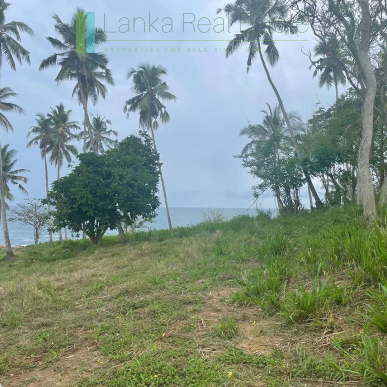 One and a half acres of Tangalle beachfront