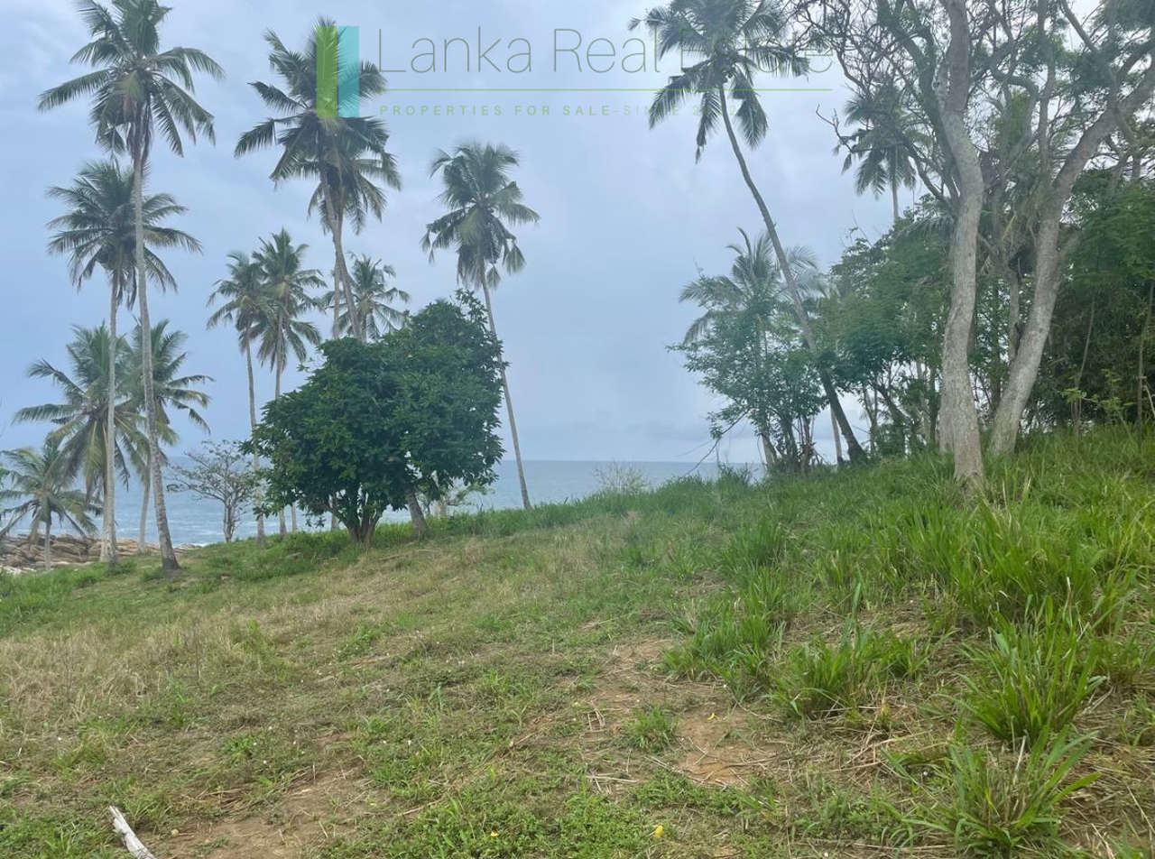 One and a half acres of Tangalle beachfront