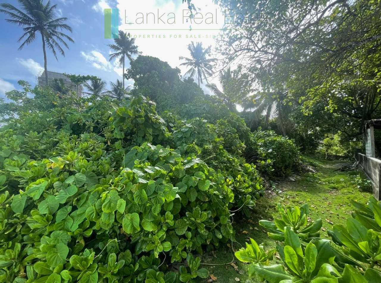 Mirissa beachfront plot with potential