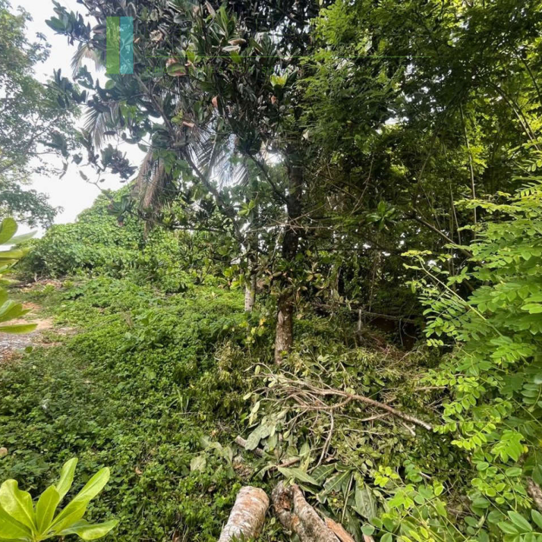 Mirissa beachfront plot with potential