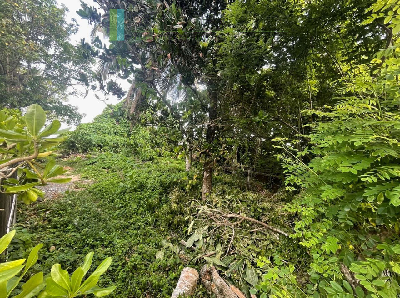 Mirissa beachfront plot with potential