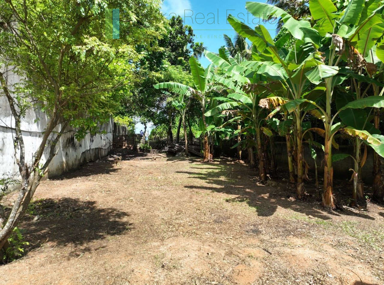 Mirissa beachfront plot with potential