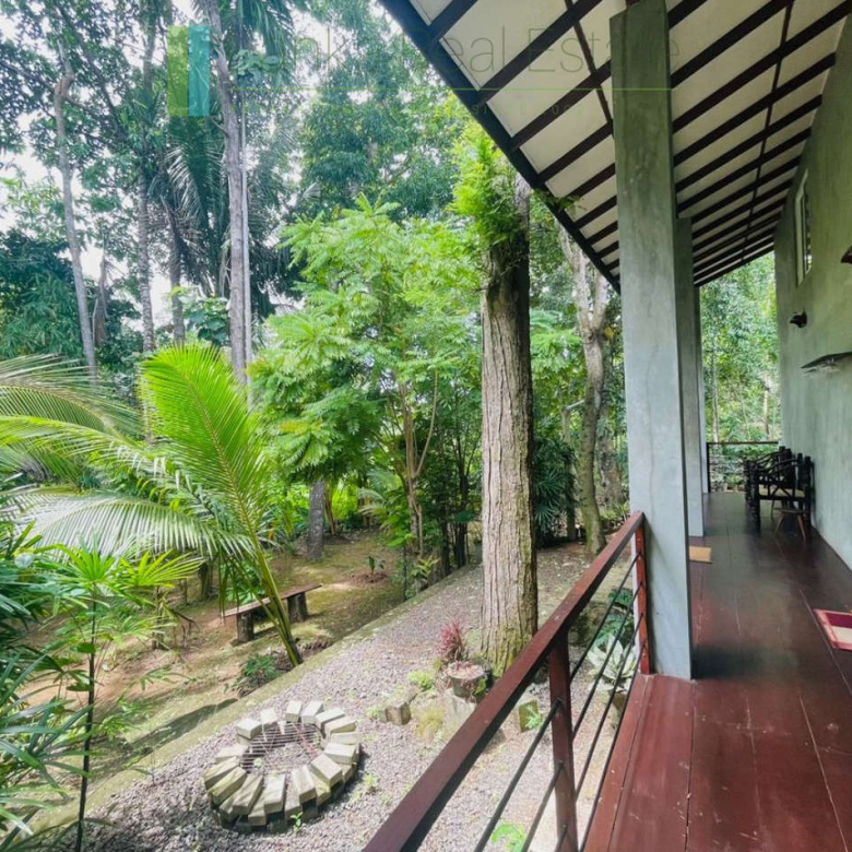 Pair of houses between Hikkaduwa and Galle