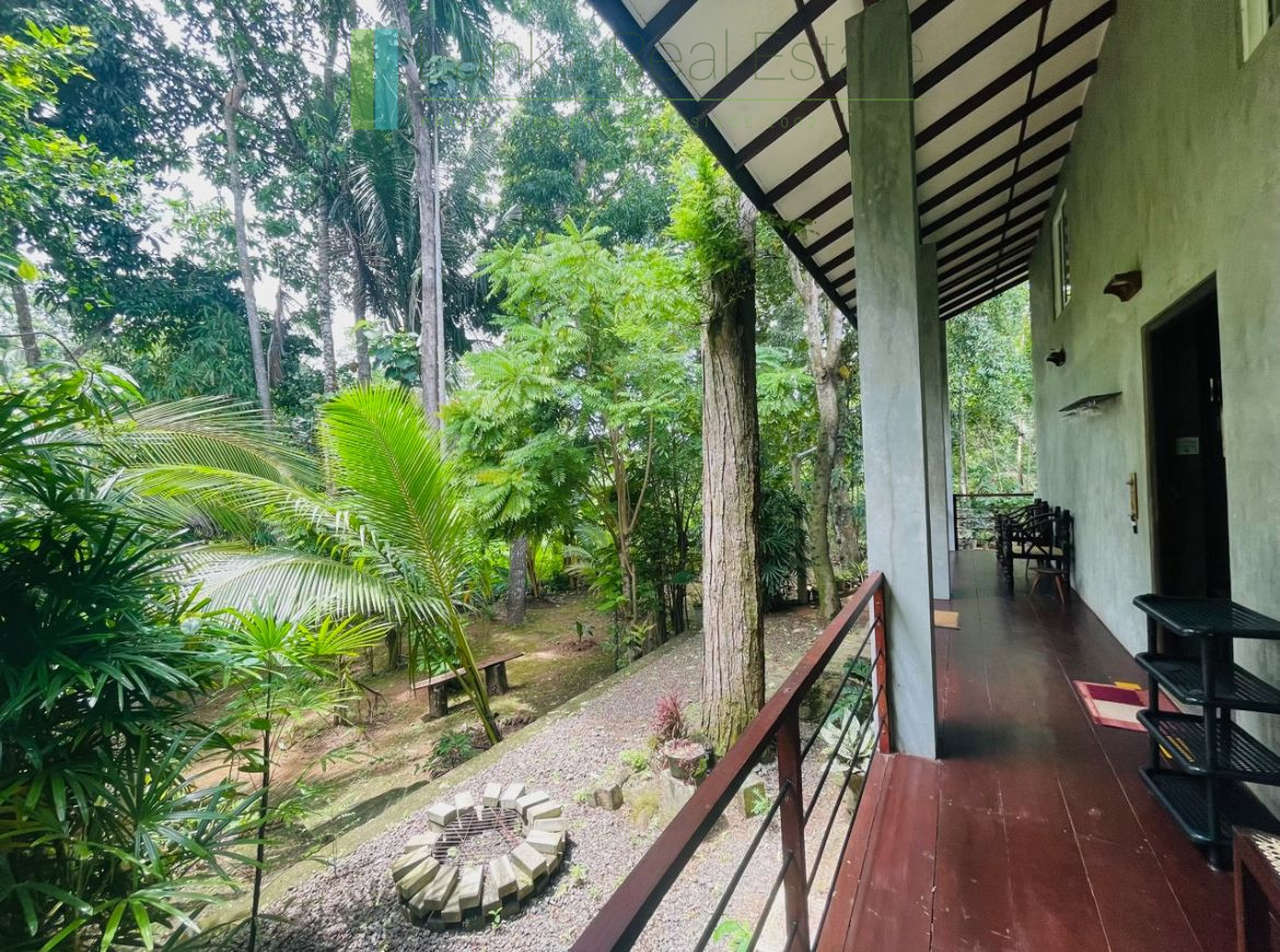 Pair of houses between Hikkaduwa and Galle