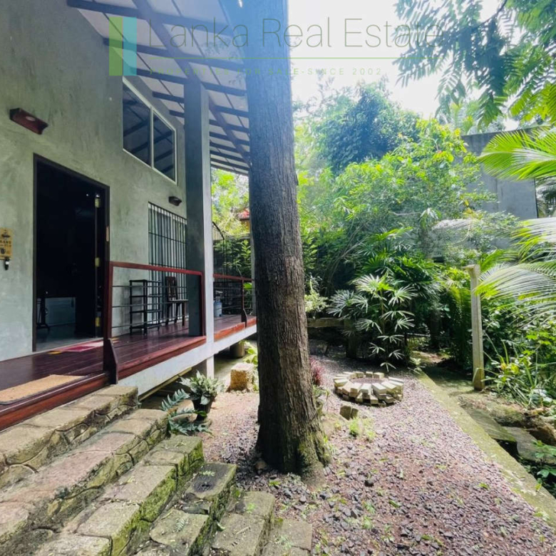 Pair of houses between Hikkaduwa and Galle