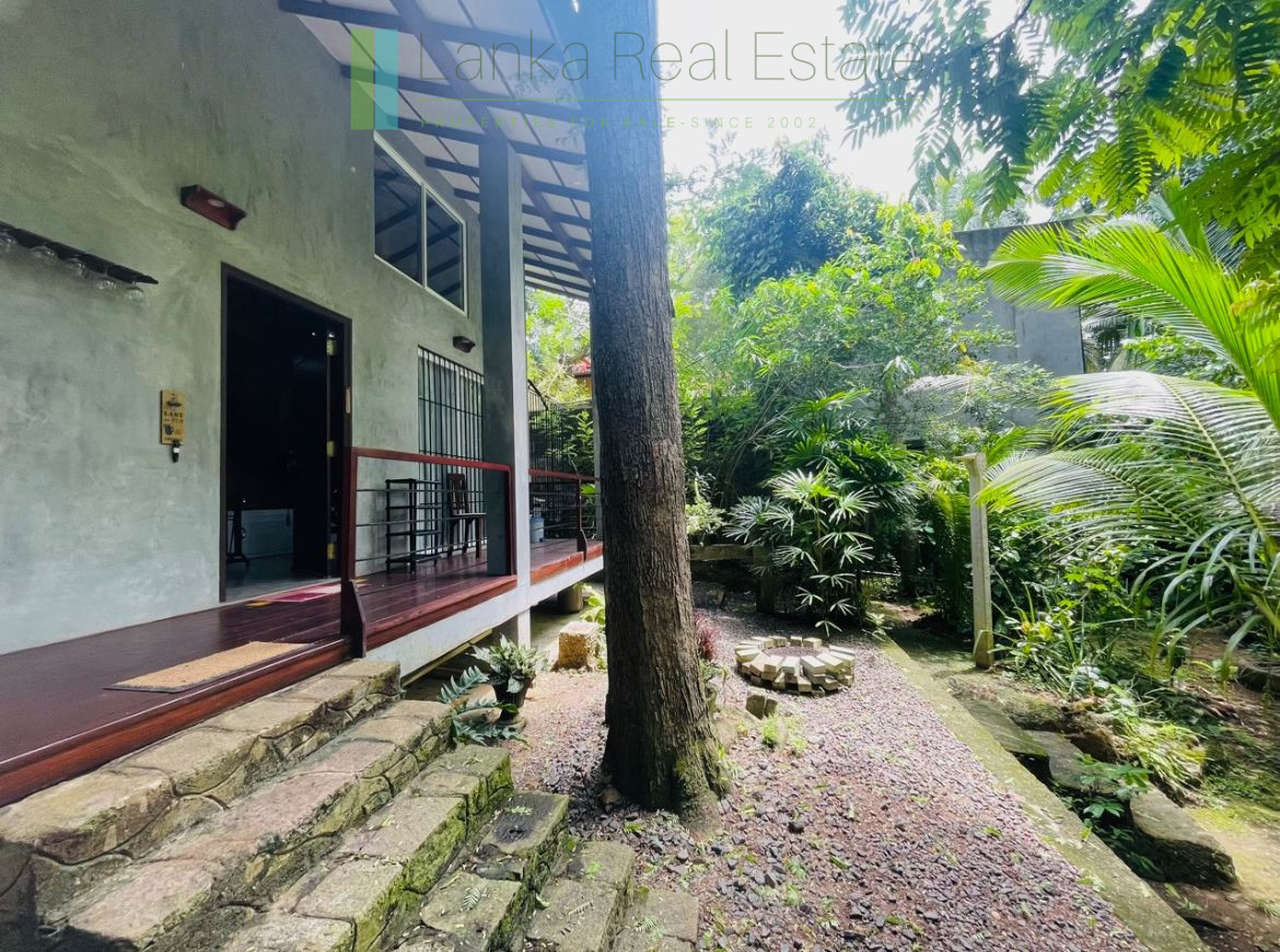 Pair of houses between Hikkaduwa and Galle