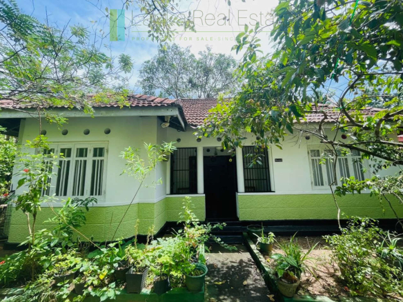 Pair of houses between Hikkaduwa and Galle