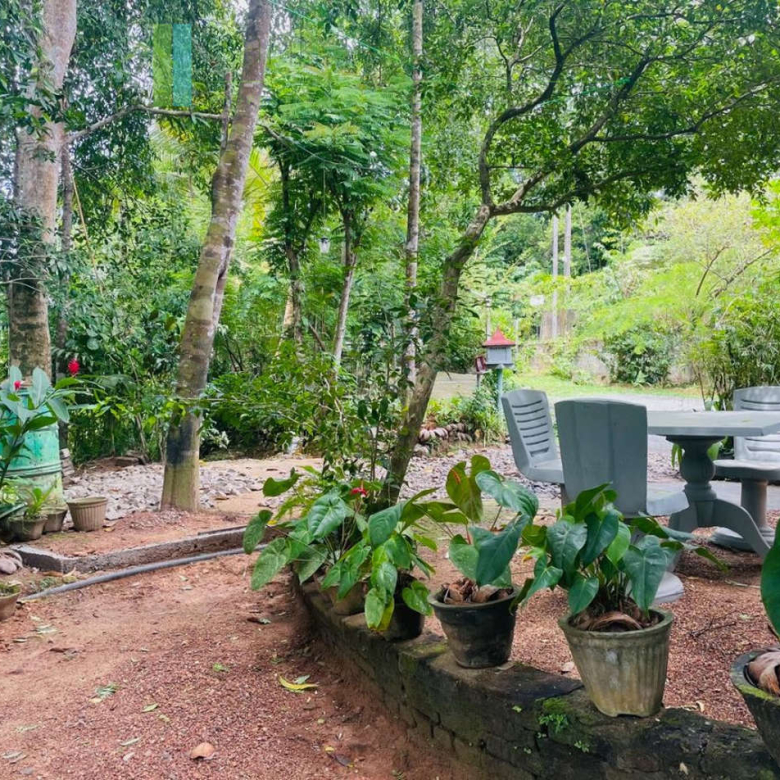 Pair of houses between Hikkaduwa and Galle