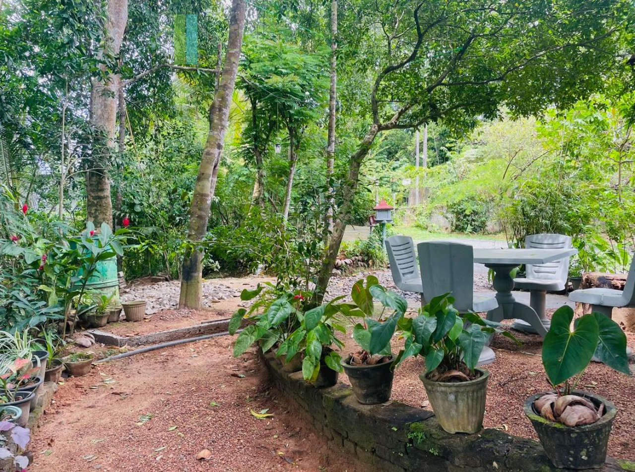 Pair of houses between Hikkaduwa and Galle