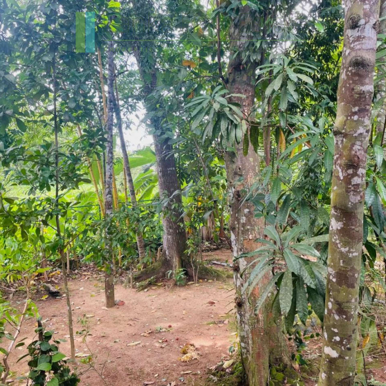 Pair of houses between Hikkaduwa and Galle
