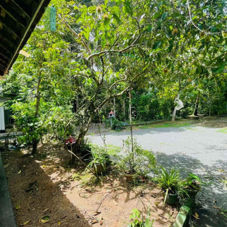 Pair of houses between Hikkaduwa and Galle