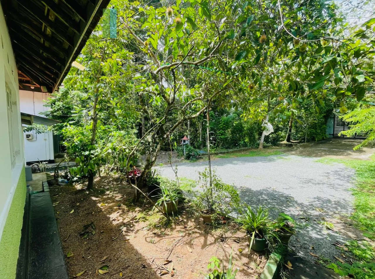 Pair of houses between Hikkaduwa and Galle