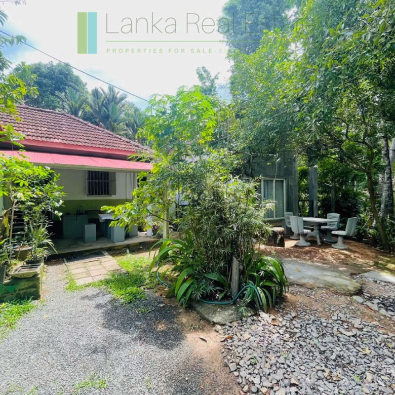 Pair of houses between Hikkaduwa and Galle