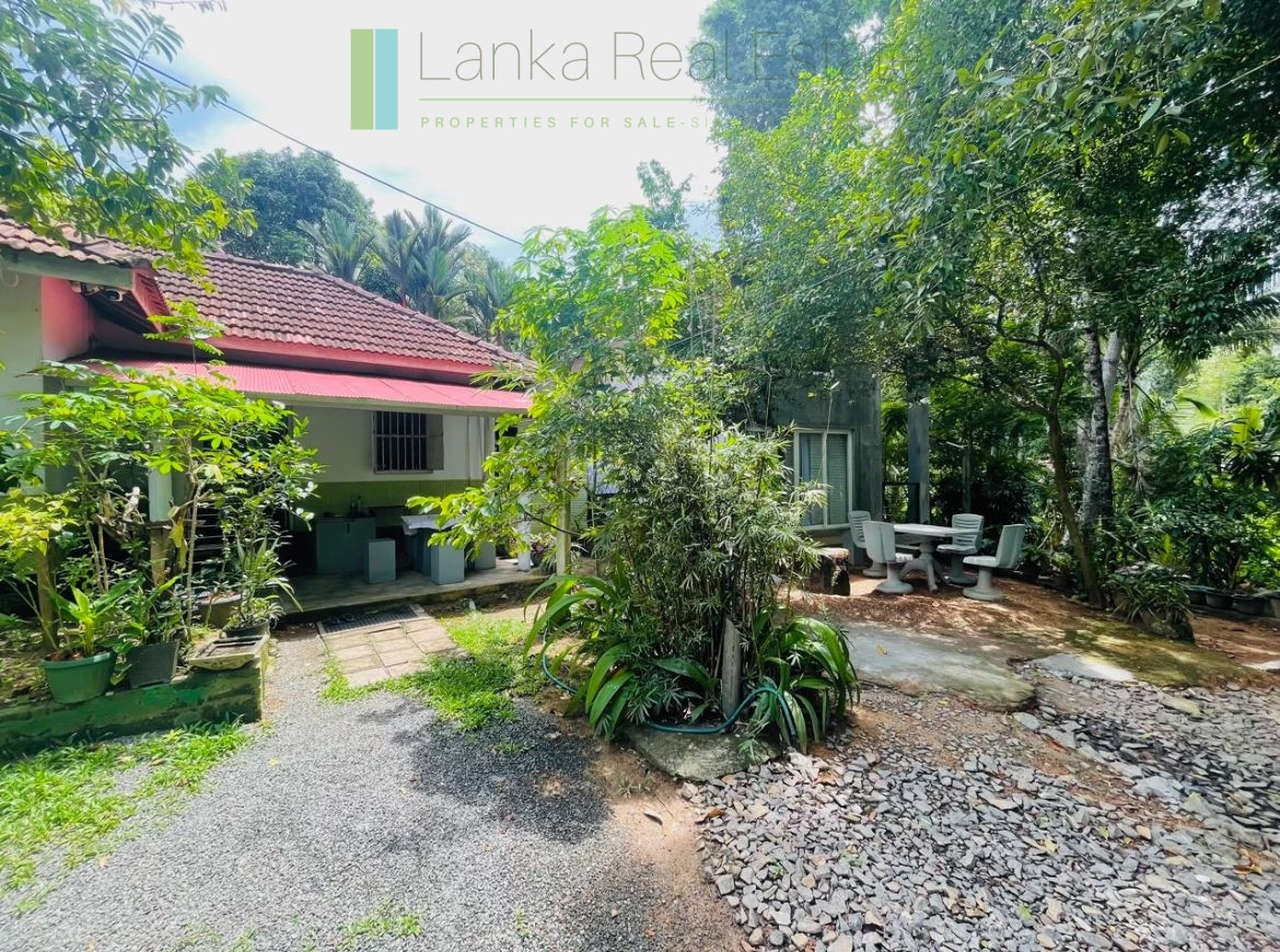 Pair of houses between Hikkaduwa and Galle