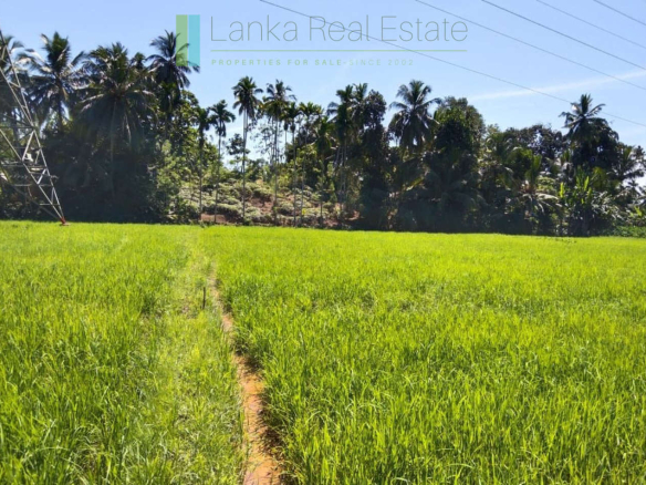 Paddy-view building plot near Galle