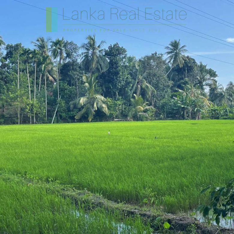 Paddy-view building plot near Galle