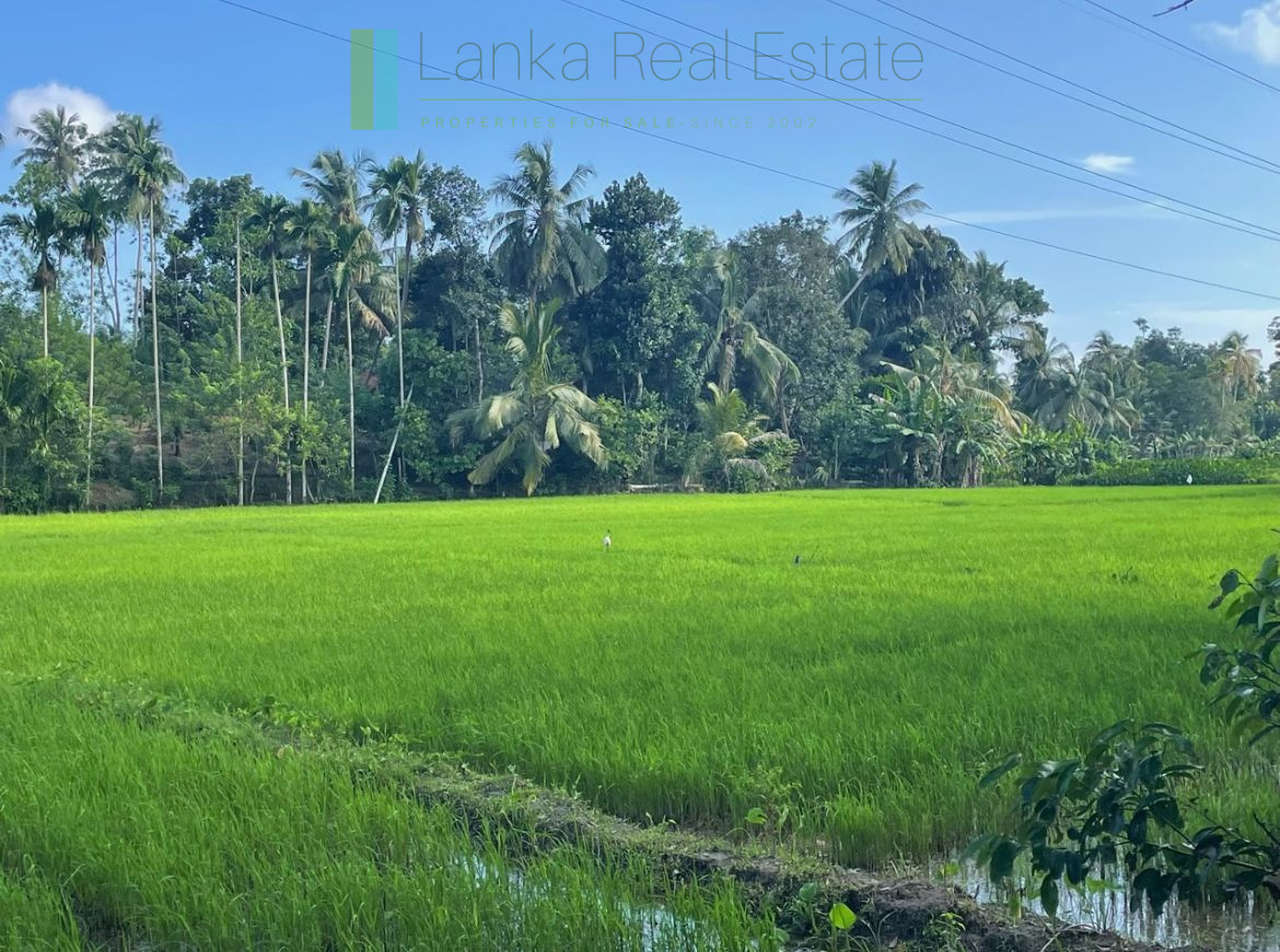 Paddy-view building plot near Galle