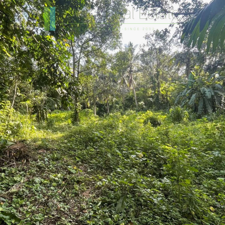 Paddy-view building plot near Galle