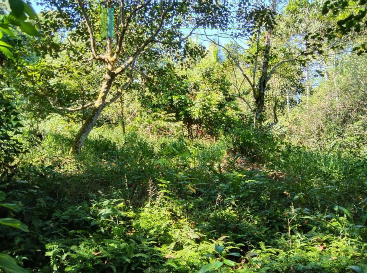 Paddy-view building plot near Galle
