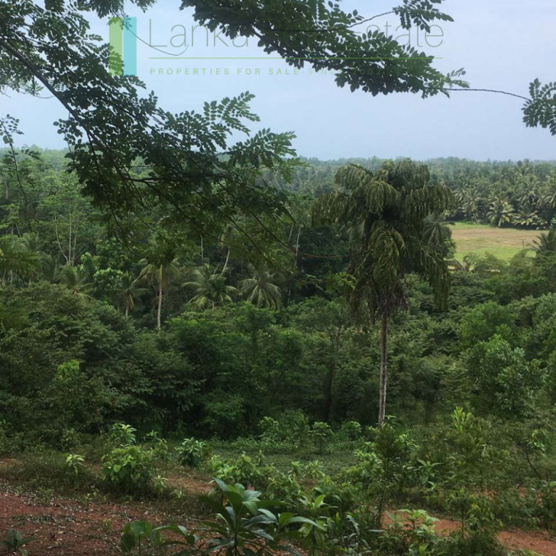 Elevated paddy-view two acres in Ginigala