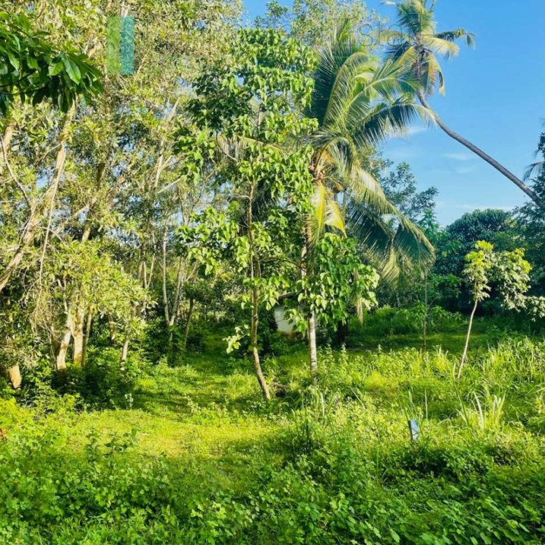 Elevated paddy-view two acres in Ginigala