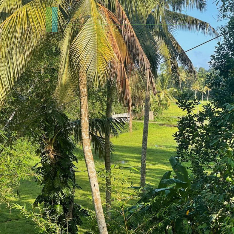 Elevated paddy-view two acres in Ginigala