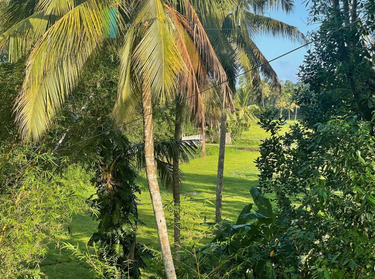 Elevated paddy-view two acres in Ginigala