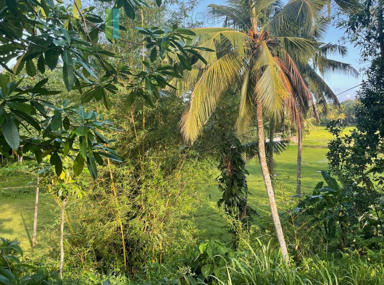 Elevated paddy-view two acres in Ginigala