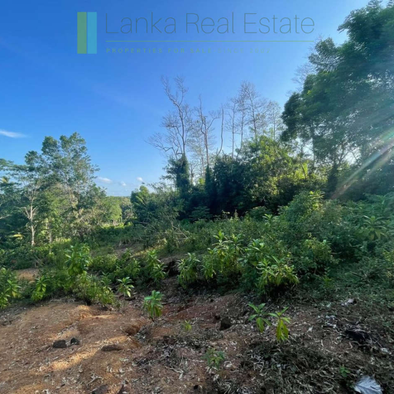 Elevated paddy-view two acres in Ginigala