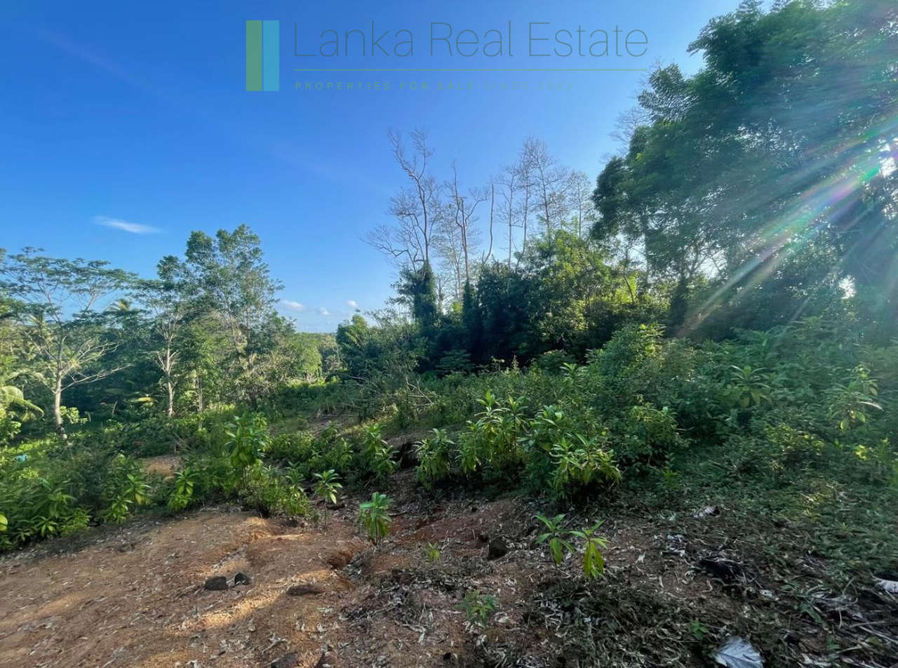 Elevated paddy-view two acres in Ginigala