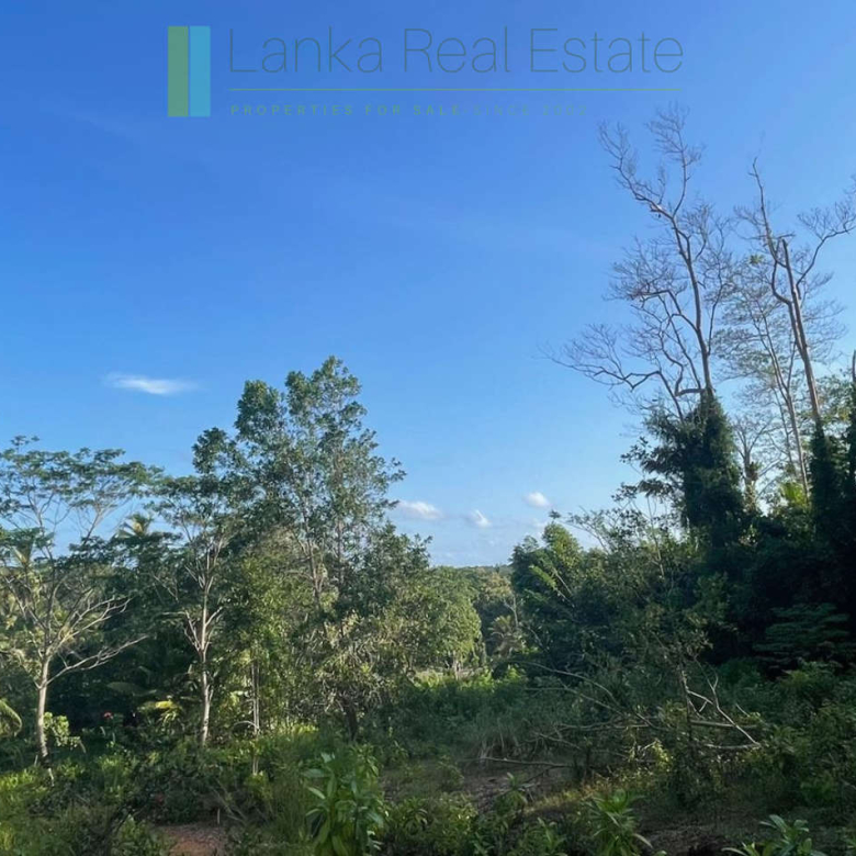 Elevated paddy-view two acres in Ginigala