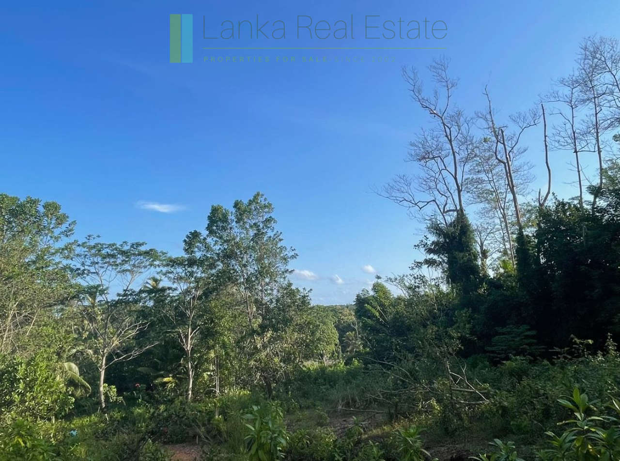 Elevated paddy-view two acres in Ginigala