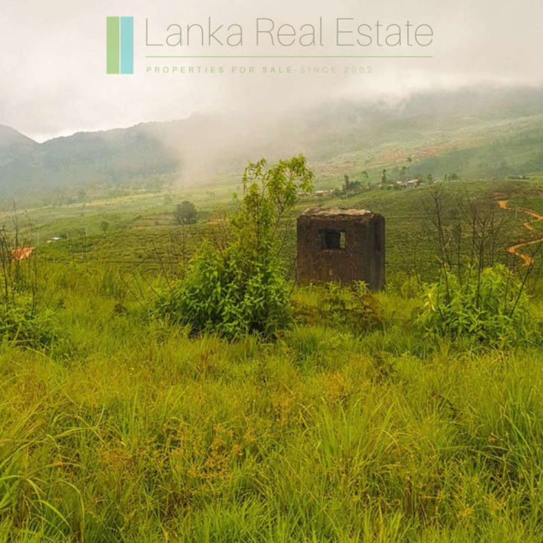 Fifteen acres between Kandy and Nuwara Eliya