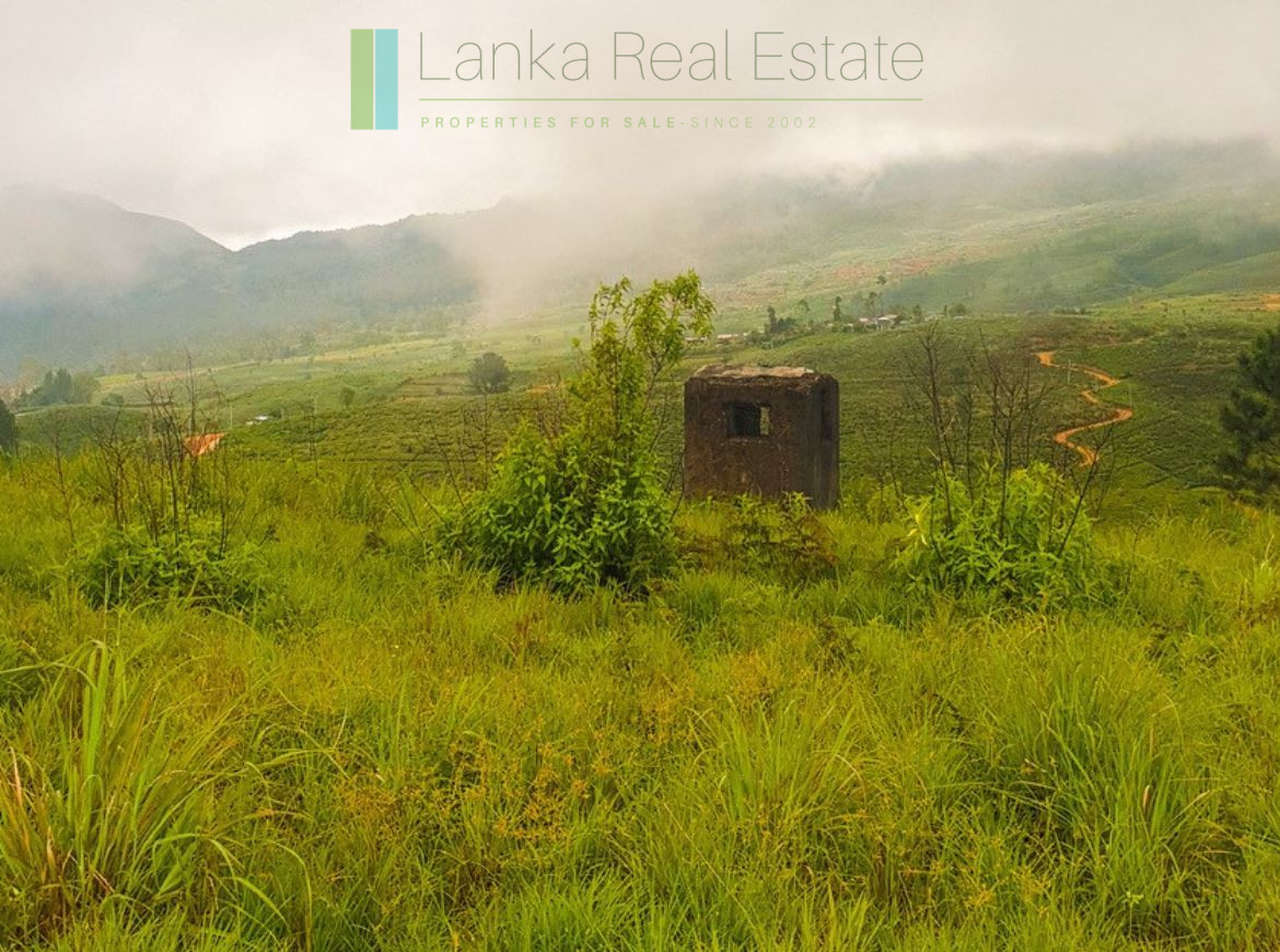 Fifteen acres between Kandy and Nuwara Eliya