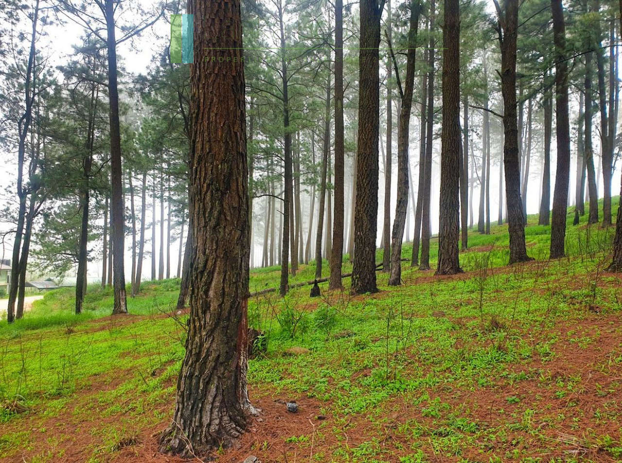 Fifteen acres between Kandy and Nuwara Eliya