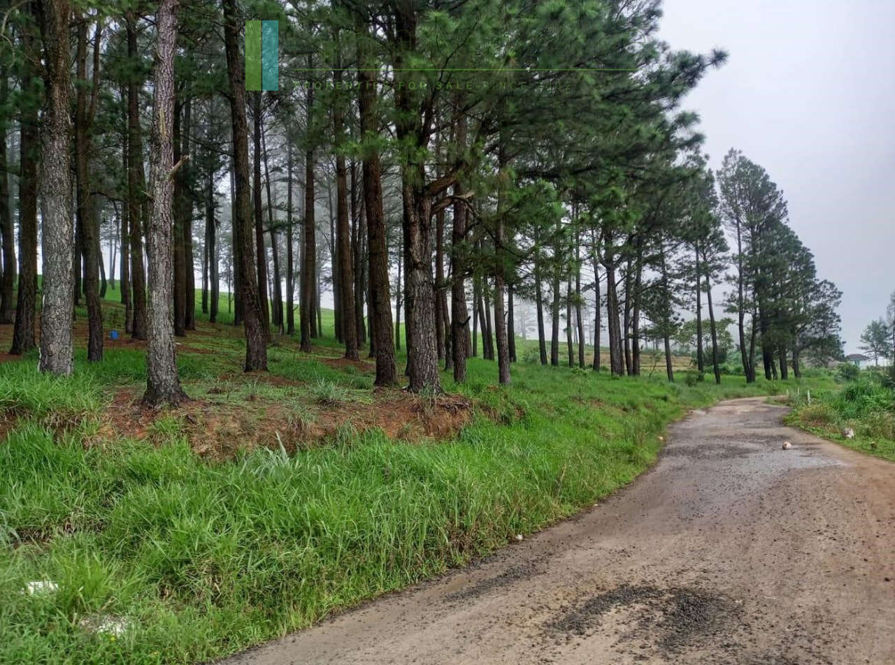 Fifteen acres between Kandy and Nuwara Eliya