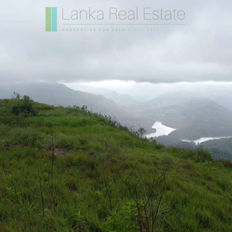 Fifteen acres between Kandy and Nuwara Eliya