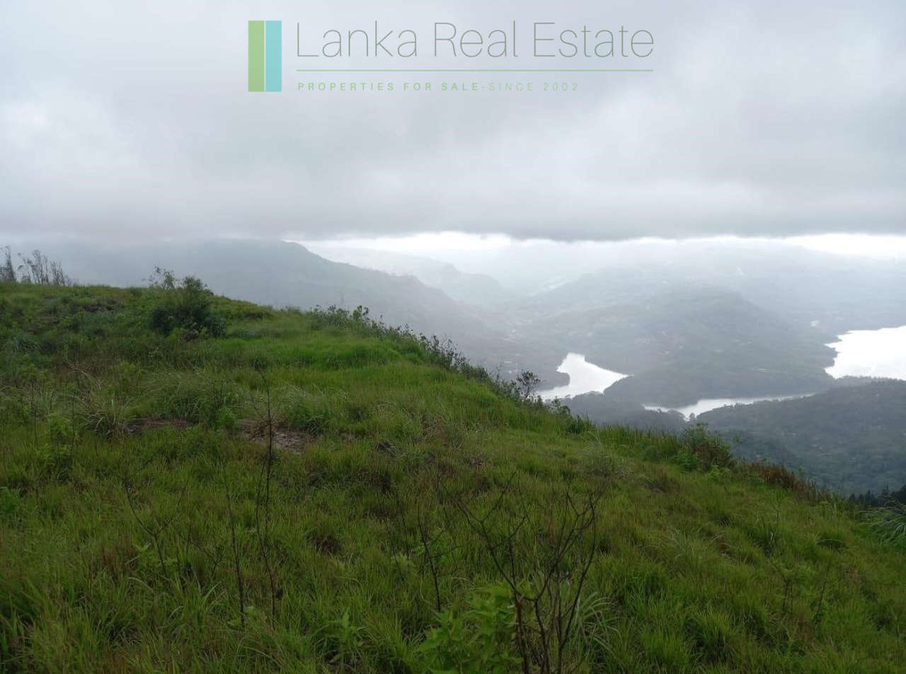 Fifteen acres between Kandy and Nuwara Eliya