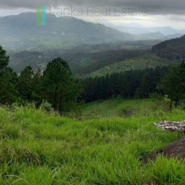 Fifteen acres between Kandy and Nuwara Eliya