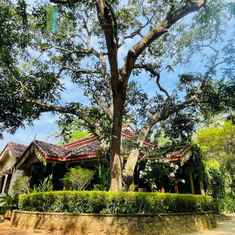 Heritage house with pool and two cottages