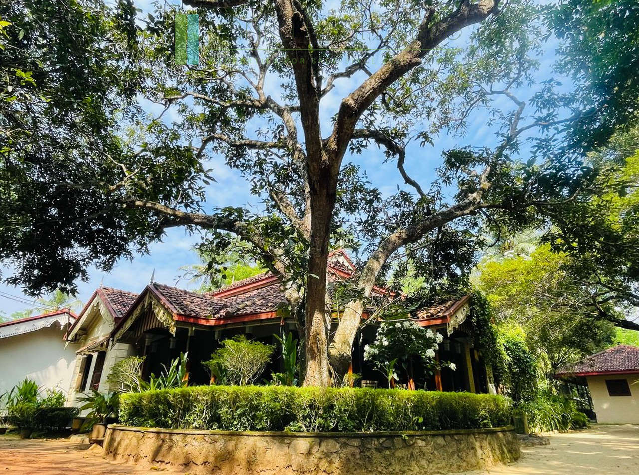 Heritage house with pool and two cottages