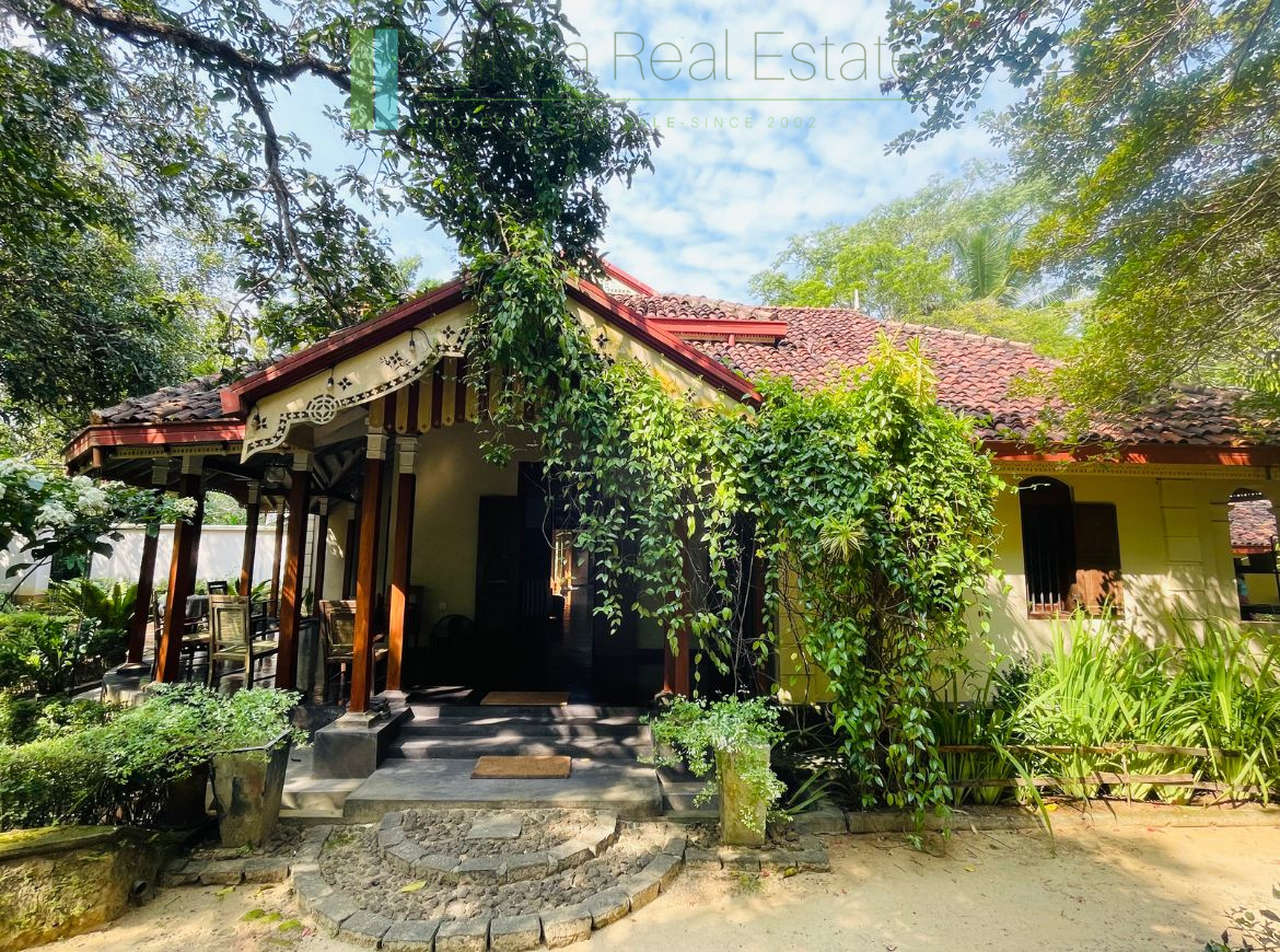 Heritage house with pool and two cottages