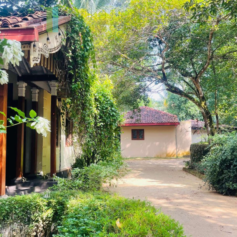 Heritage house with pool and two cottages
