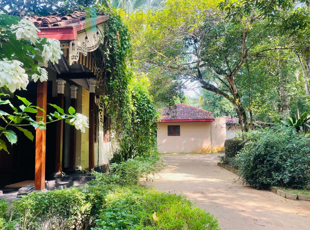 Heritage house with pool and two cottages