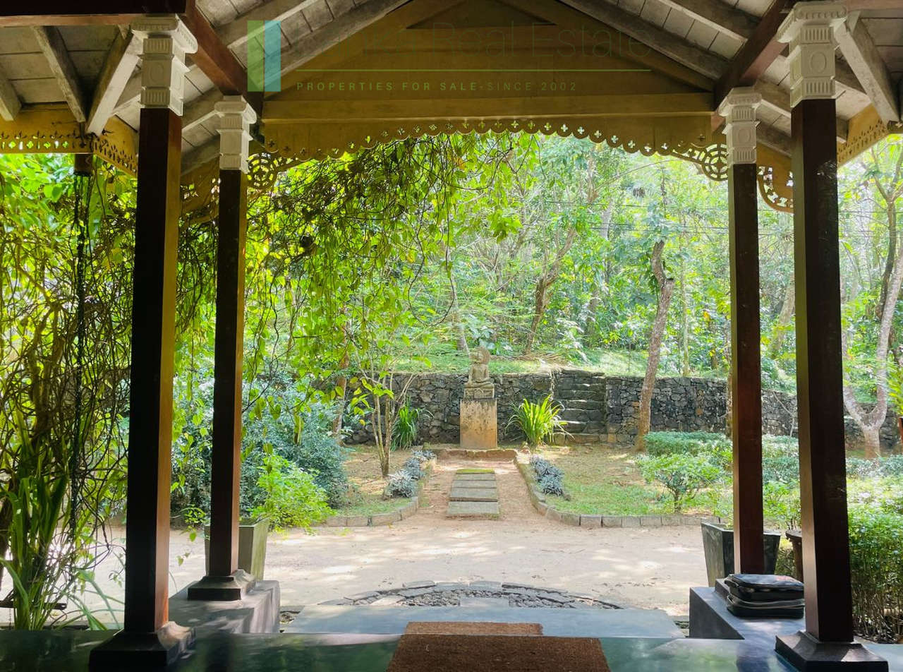 Heritage house with pool and two cottages