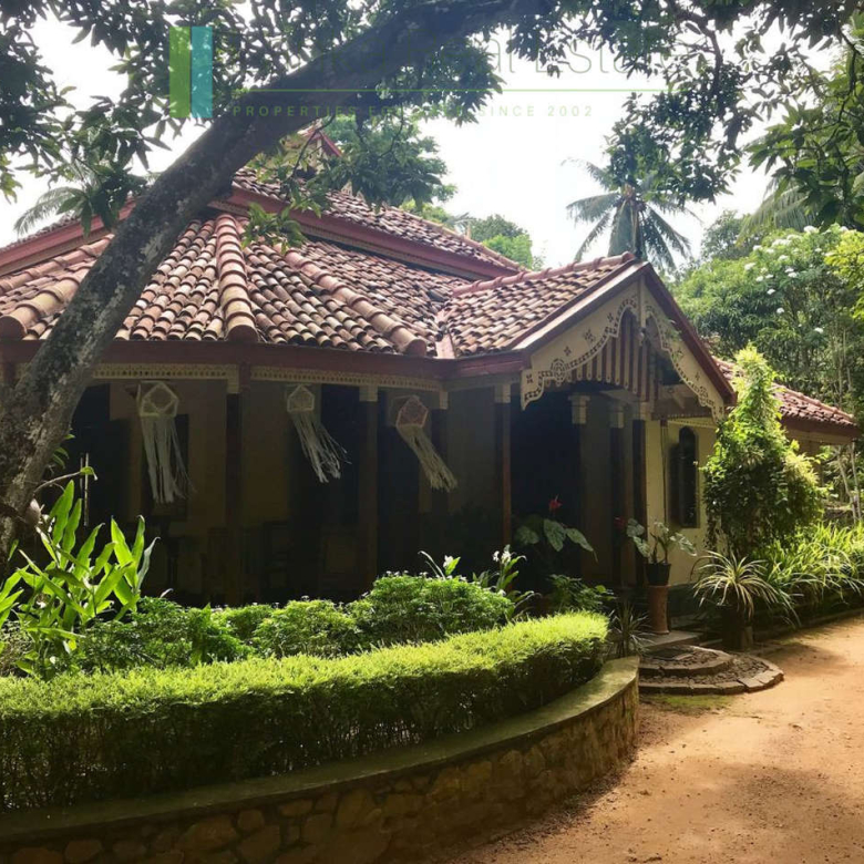 Heritage house with pool and two cottages
